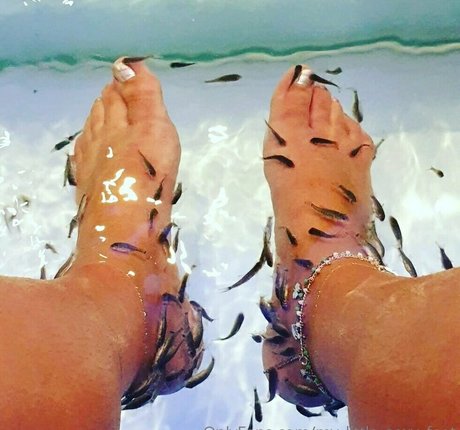 my little sexy feet pornstar art galleries