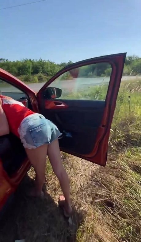 Lisarulit star nice galleries