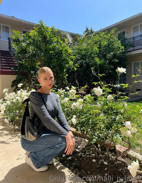 halli n lover sex star photos