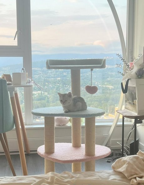 awnni pretty actress galleries