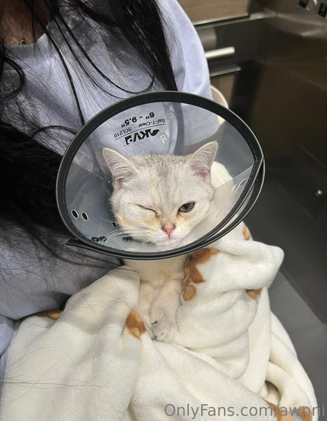 awnni exclusive pornstar photo