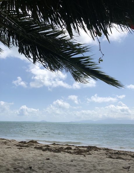 bbw lesbian onlyfans exclusive photo