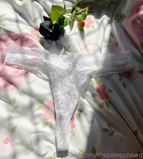 thepawgypawg sex model pic