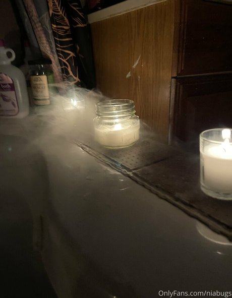 niabugs star best pics