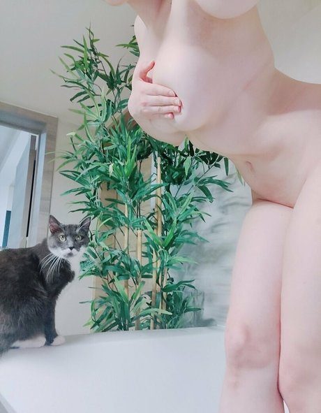 mikomihokina nice pornstar img