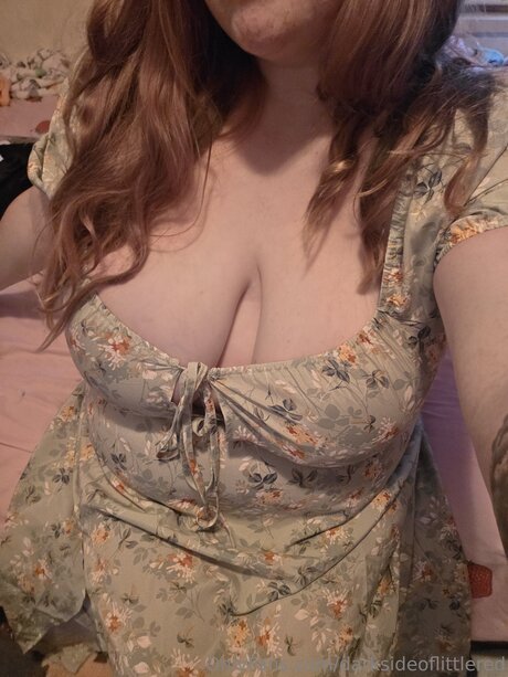 Darksideoflittlered model img