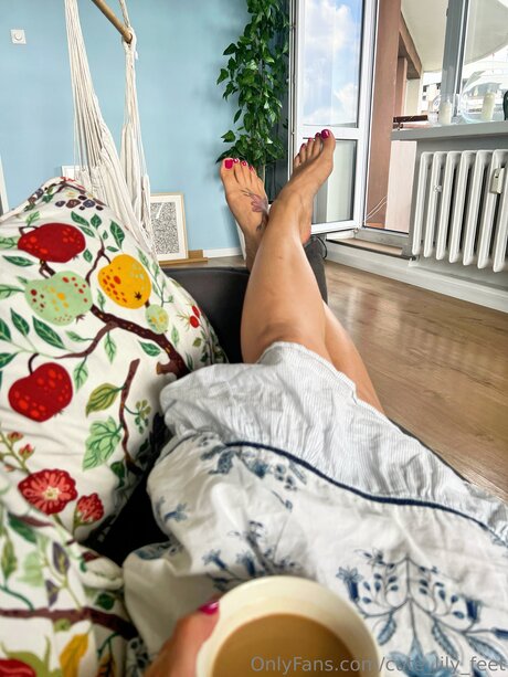 Cute Lily Feet top pornstar gallery