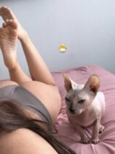 Soska 117 pornstar photos