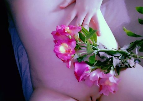 Lissaviip nudes pornstar picture