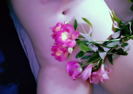 Lissaviip pornstar top archive