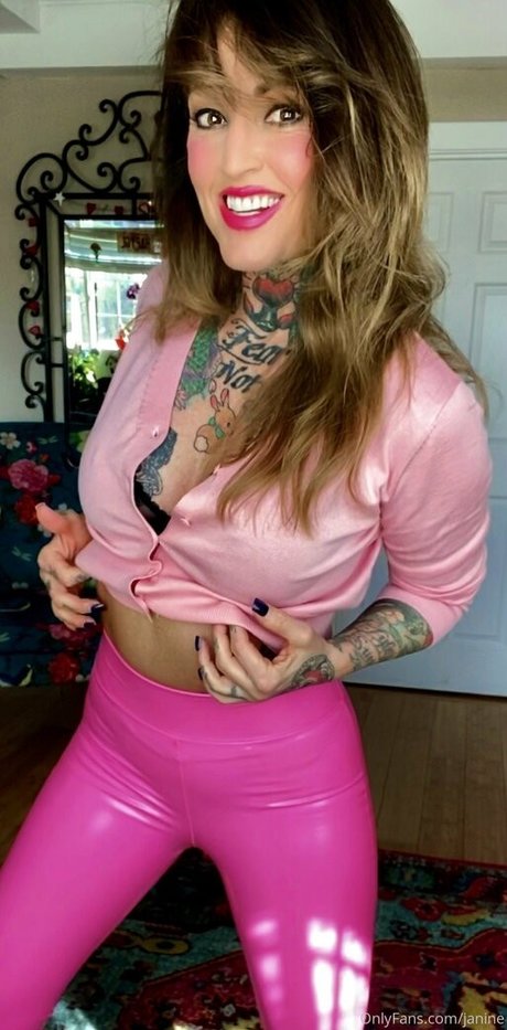 janine star art gallery