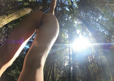 sexydaisymay pornstar art picture