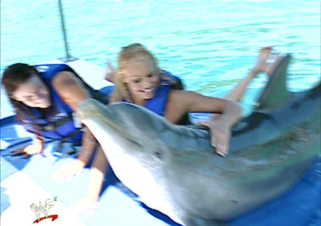 trans free onlyfans best pics