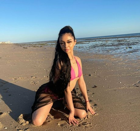 mslatinax model xxx archive