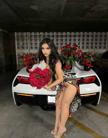mslatinax sexy star img