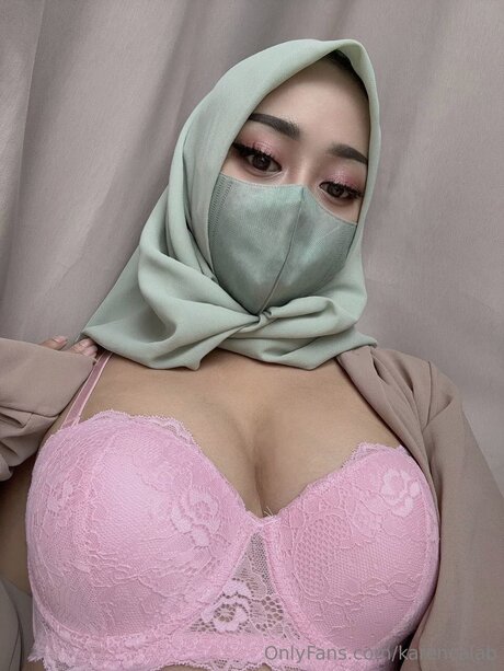 karencalab best model archive