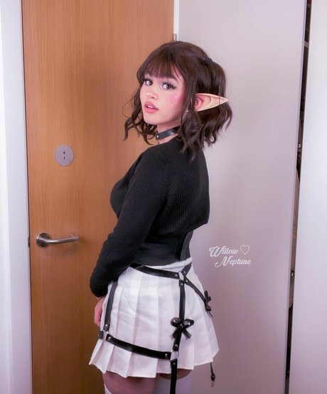 willowsdreaming free star gallery