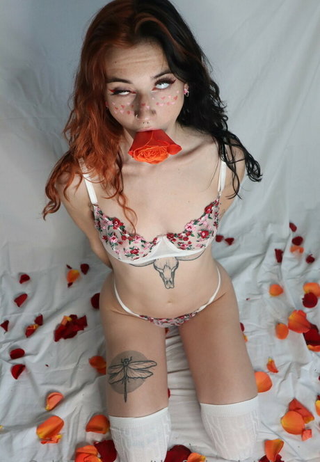 2024 top onlyfans sexy nude images