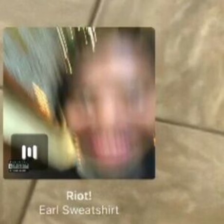 thespicysalmonroll pornstar best galleries