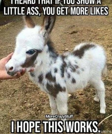 body onlyfans nice photo