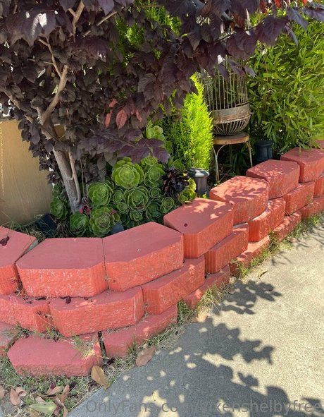 vixenshelbyfree pornstar top img