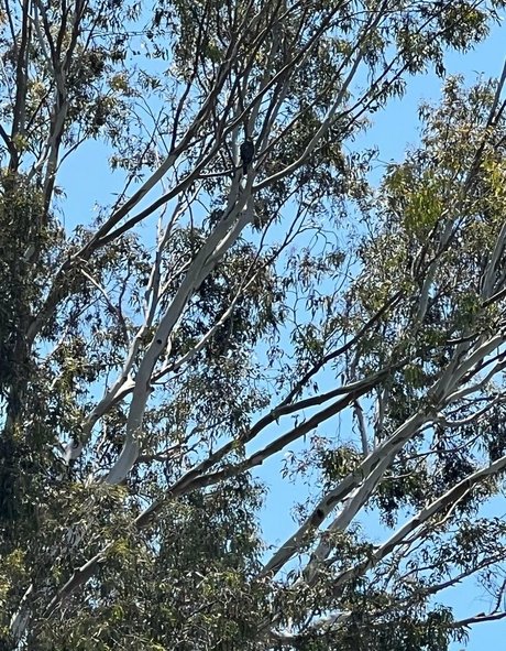 blowjob selfie onlyfans hot sex images