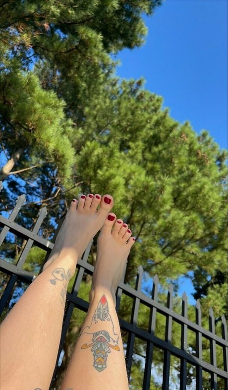 xgingerkitty star pretty picture