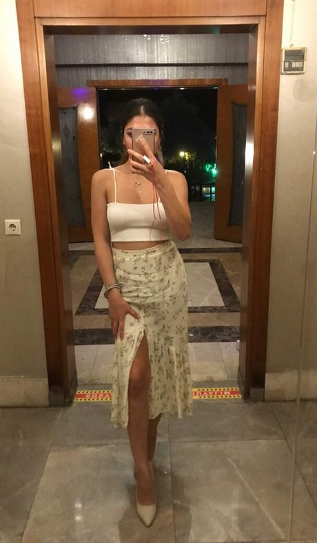 pelisilin art pornstar archive