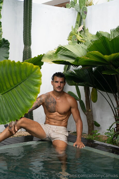 Antonycanvas xxx pornstar pics