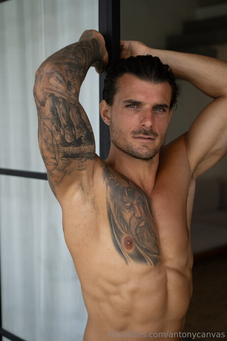 Antonycanvas star sexy img