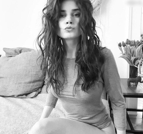 Joyce Ilg high quality star galleries