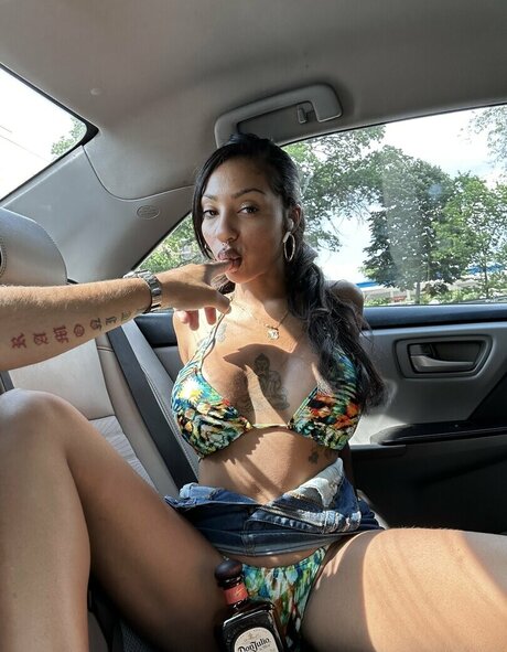 Belladonnas star free image