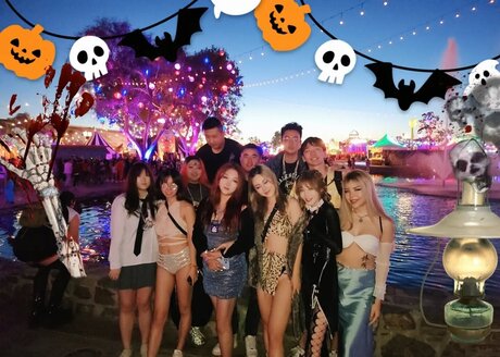 eggtardy Photo Gallery