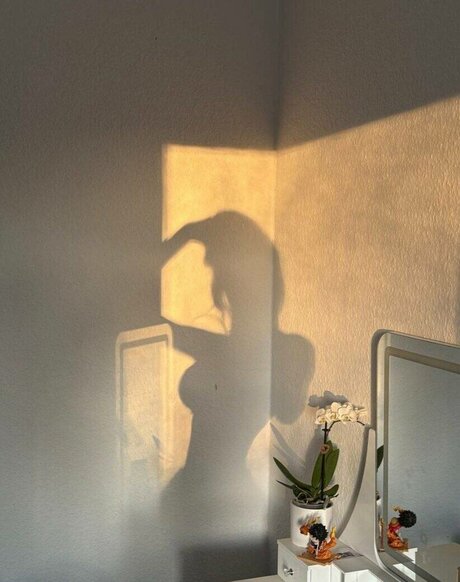 hefxtom model hd pic