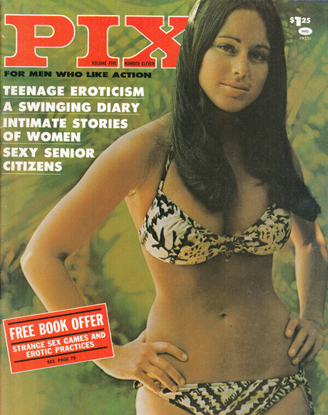 Classic Porn Magazines top pornstar pictures