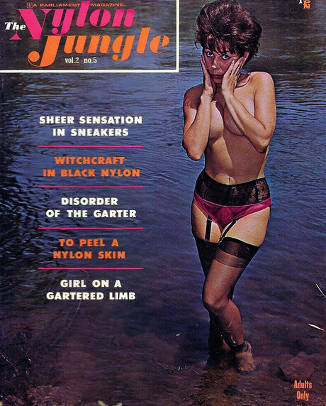 Classic Porn Magazines pornstar nude archive