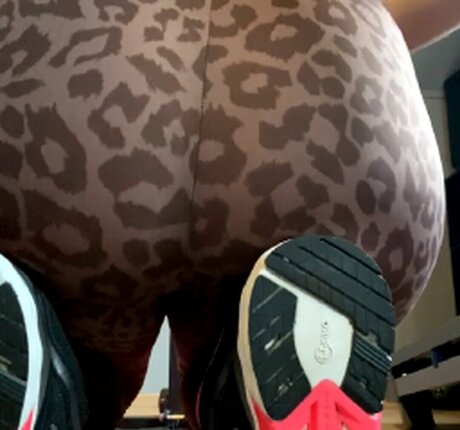 Wille Shauni star art archive