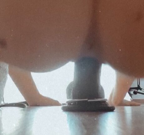 Wille Shauni hot model photo