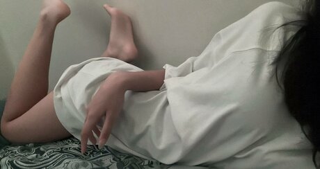 shinoaqi nice model archive