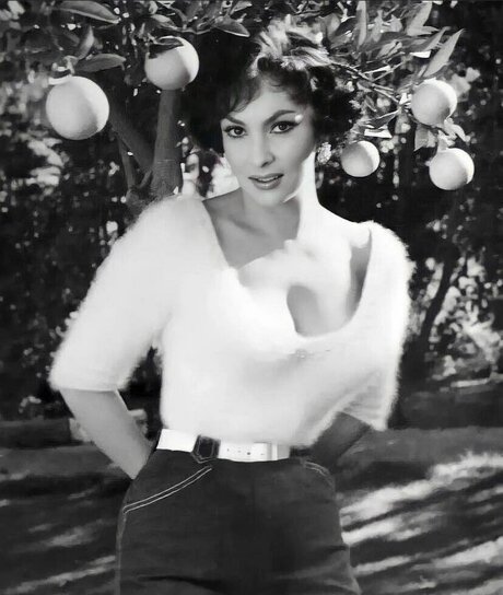 Vintage Sexy Celebs pornographic model pic