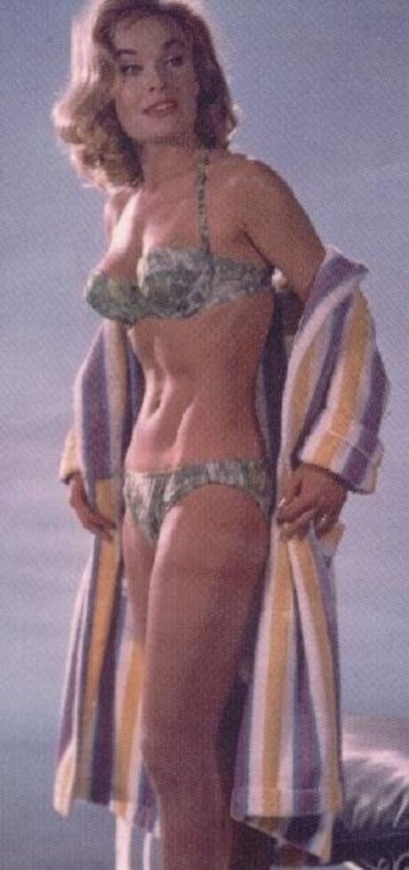 Vintage Sexy Celebs sex pornstar archive