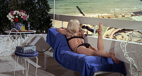 Vintage Sexy Celebs model high quality pic