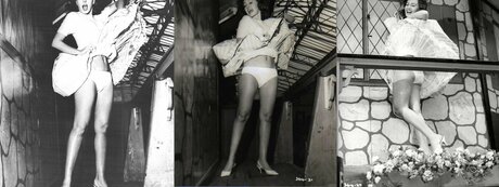 Vintage Sexy Celebs exclusive pornstar image