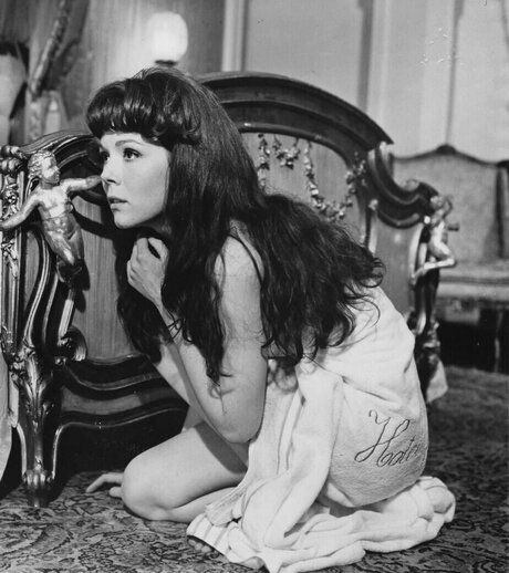 Vintage Sexy Celebs star porn img