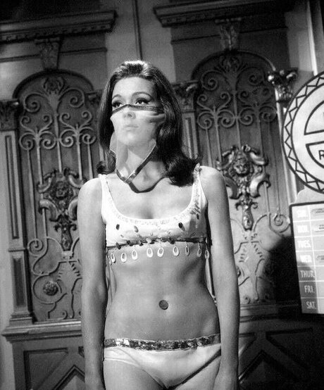 bbw onlyfans erotic gallery