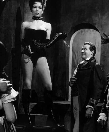 Vintage Sexy Celebs model pretty picture