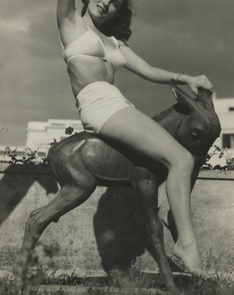 Vintage Sexy Celebs model top pic