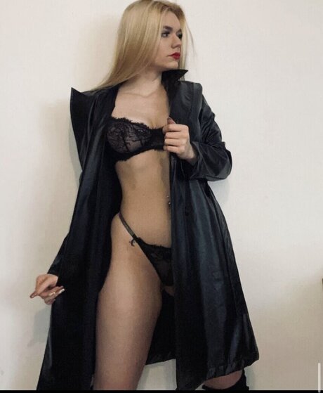 kittykattoni free star images