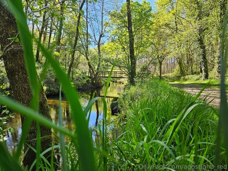 Agostinha Red model free pic