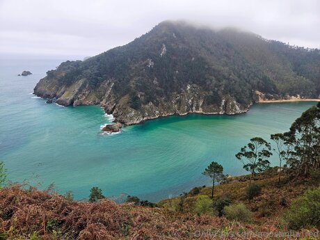 Agostinha Red top pornstar pic